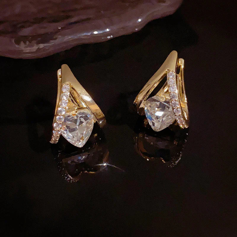 🎁 Seurico Lymphatic MagneTherapy Germanium Earrings