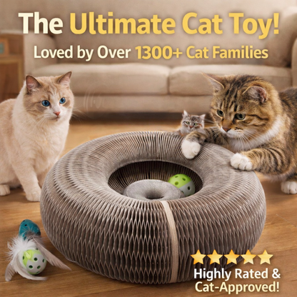 🔥Last Day Buy 1 Get 1 Free $14.99 Each🐱The Ultimate Cat Playground & Cozy Bed – All in One!🛌