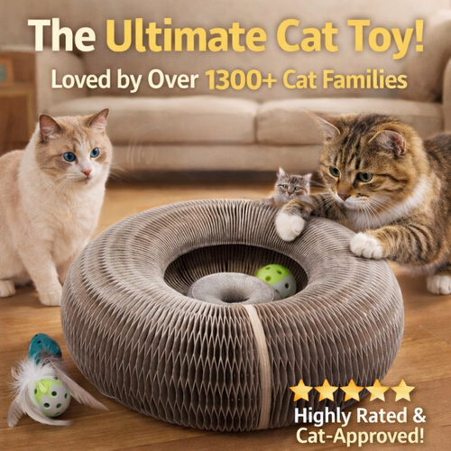 🔥Last Day Buy 1 Get 1 Free $14.99 Each🐱The Ultimate Cat Playground & Cozy Bed – All in One!🛌