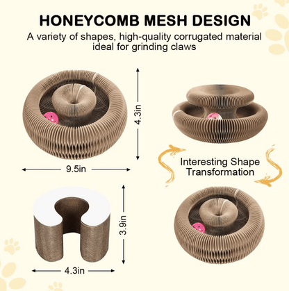 🔥Last Day Buy 1 Get 1 Free $14.99 Each🐱The Ultimate Cat Playground & Cozy Bed – All in One!🛌