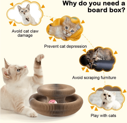 🔥Last Day Buy 1 Get 1 Free $14.99 Each🐱The Ultimate Cat Playground & Cozy Bed – All in One!🛌