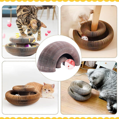🔥Last Day Buy 1 Get 1 Free $14.99 Each🐱The Ultimate Cat Playground & Cozy Bed – All in One!🛌