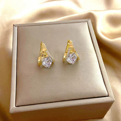 🎁 Seurico Lymphatic MagneTherapy Germanium Earrings